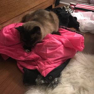 Meet your Posher, Annabelle